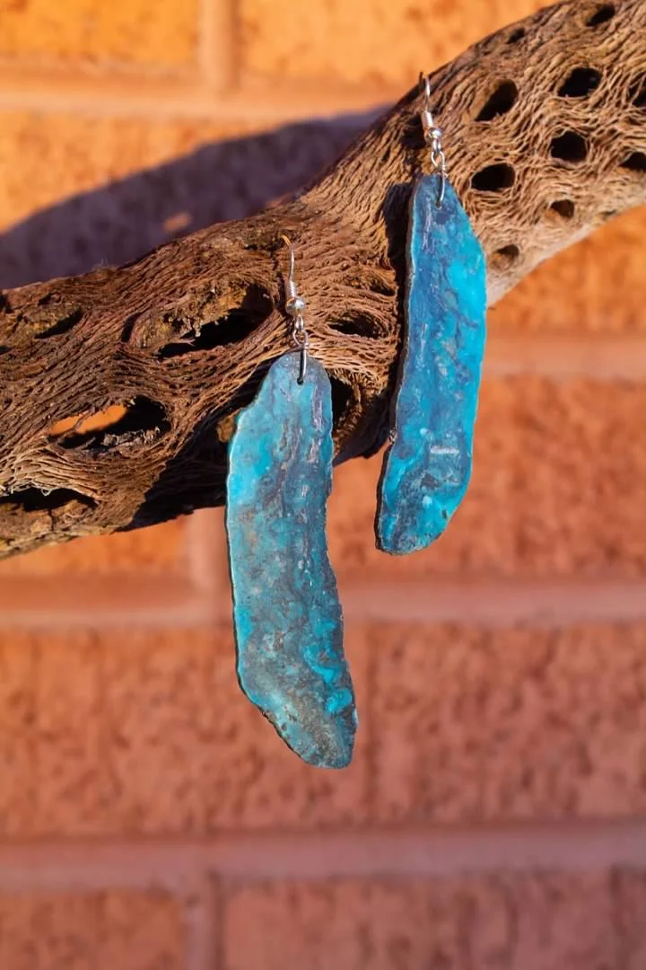 Kingman turquoise slab earrings on cholla wood — from the Indigenous artisan case
